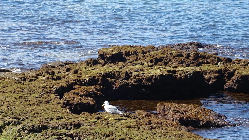 Brisamar Canteras Las Palmas de Gran Canaria Eksteriør billede